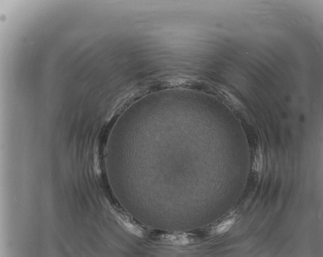 X0000064770524200602131319