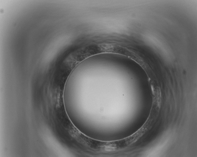 X0000064770525200602131319