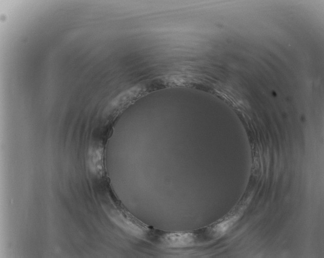 X0000064770526200602131319