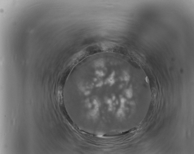 X0000064770527200602131319