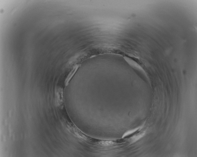 X0000064770528200602131319