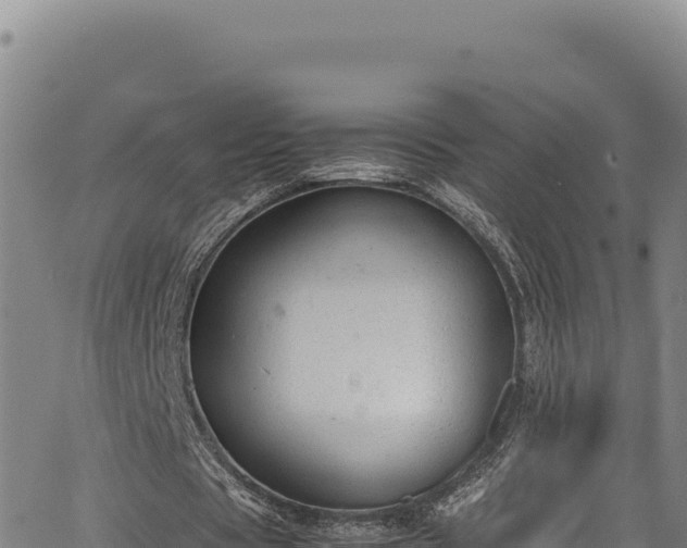 X0000064770529200602131319