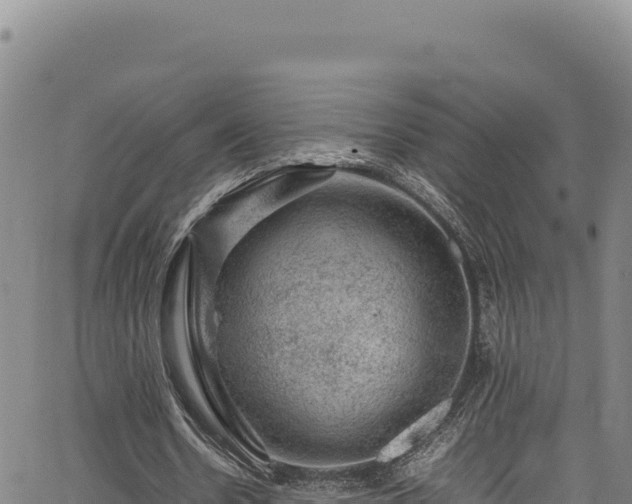 X0000064770530200602131319