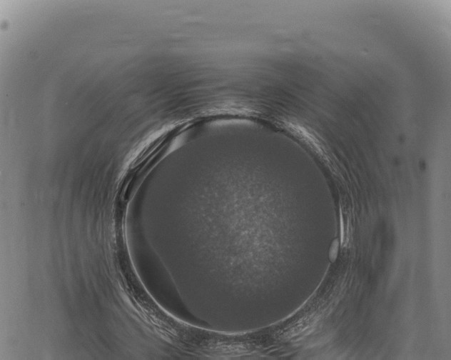 X0000064770531200602131319