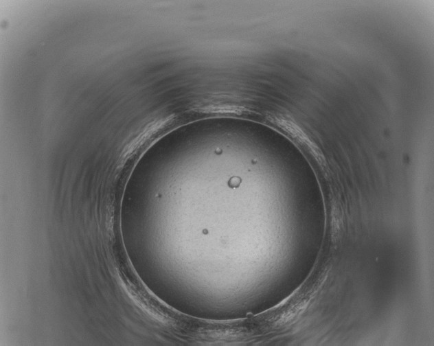 X0000064770533200602131319