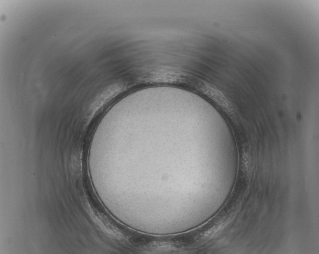 X0000064770534200602131319