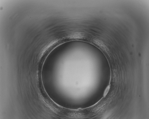 X0000064770535200602131319