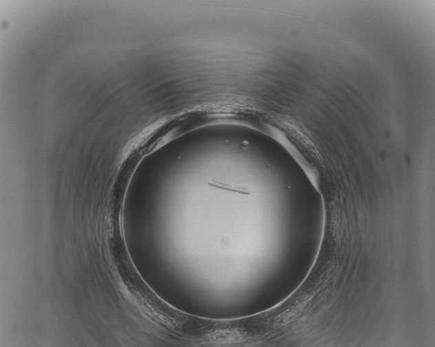 X0000064770536200602131319