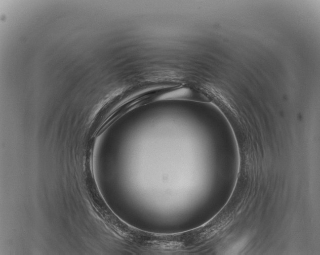 X0000064770539200602131319