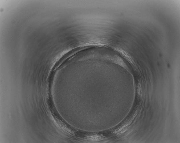 X0000064770540200602131319