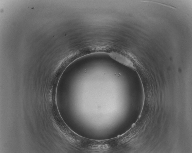 X0000064770543200602131319