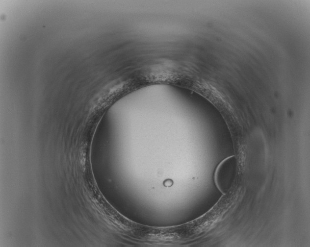 X0000064770545200602131319