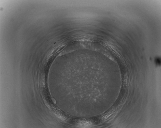 X0000064770547200602131319