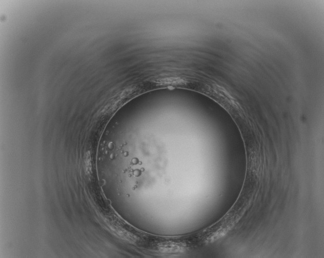 X0000064770549200602131319