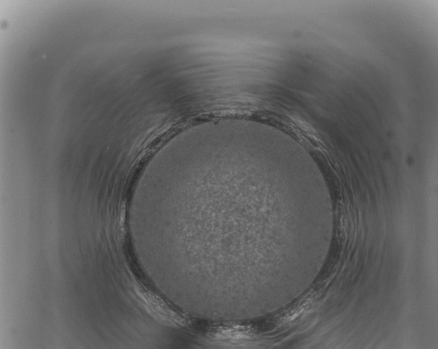 X0000064770550200602131319