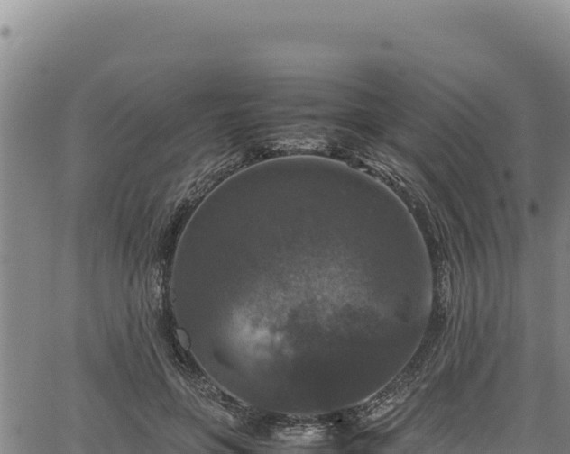 X0000064770551200602131319