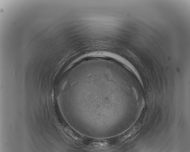 X0000064770552200602131319