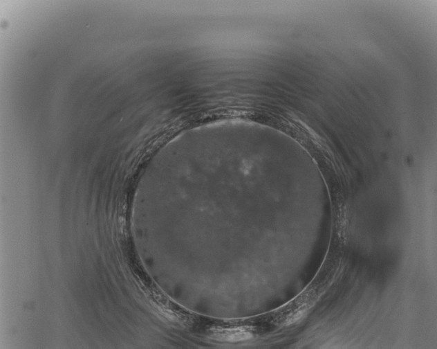 X0000064770553200602131319