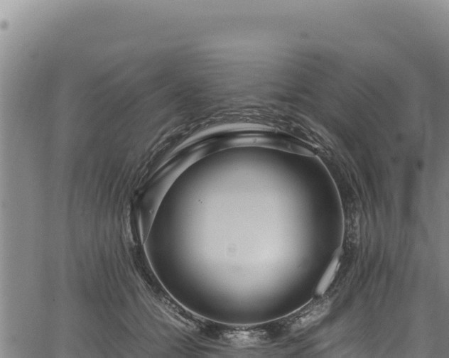 X0000064770558200602131319