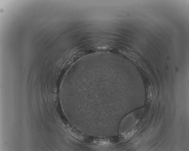 X0000064770559200602131319