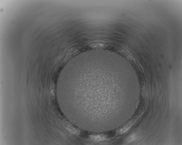 X0000064770561200602131319