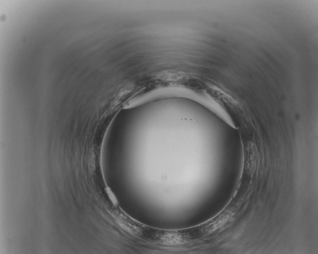 X0000064770562200602131319