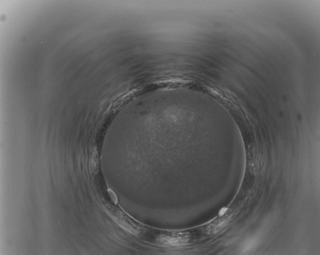 X0000064770563200602131319