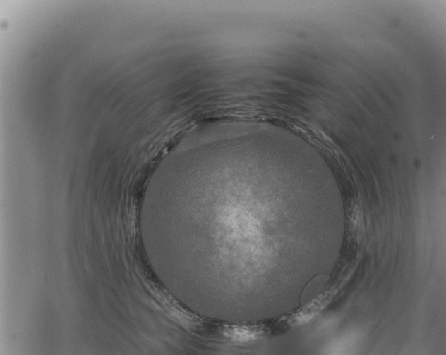 X0000064770565200602131319