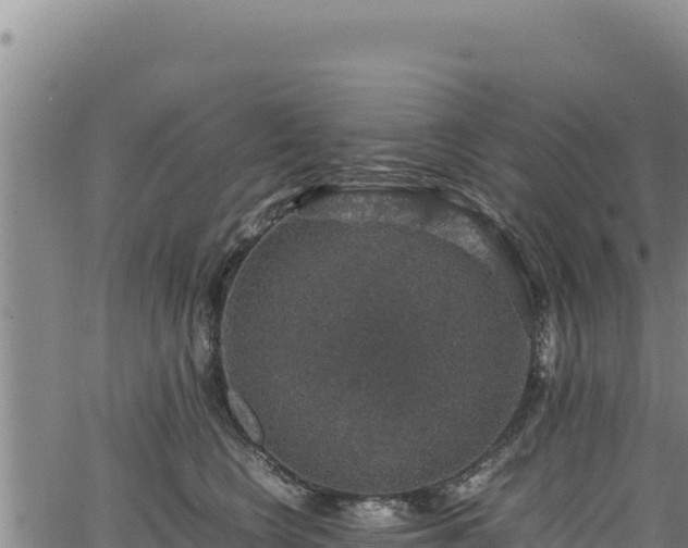 X0000064770566200602131319