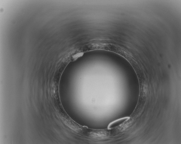 X0000064770567200602131319