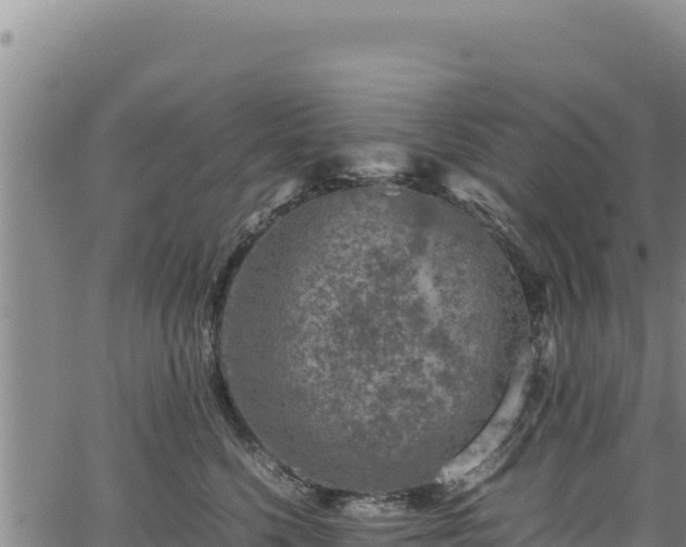 X0000064770568200602131319