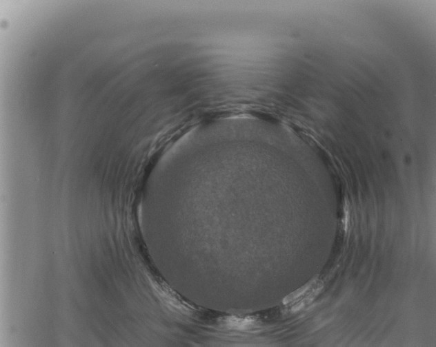 X0000064770570200602131319