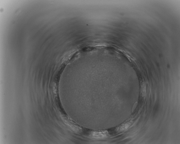 X0000064770571200602131319