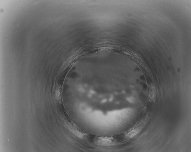 X0000064770573200602131319