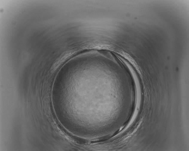 X0000064770577200602131319