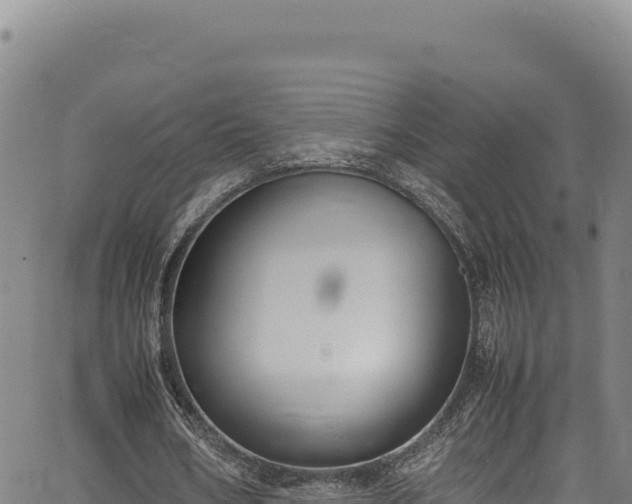 X0000064770578200602131319