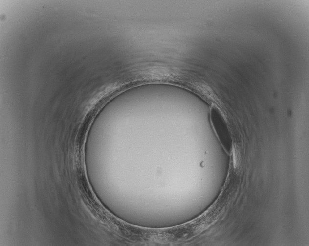 X0000064770579200602131319