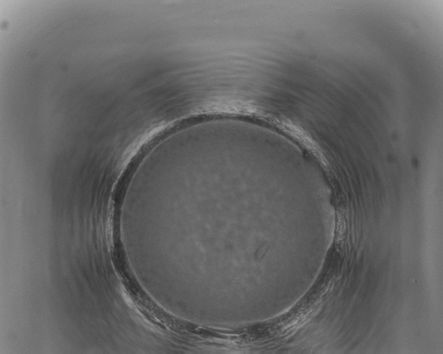 X0000064770580200602131319