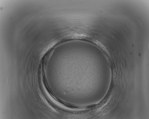 X0000064770581200602131319