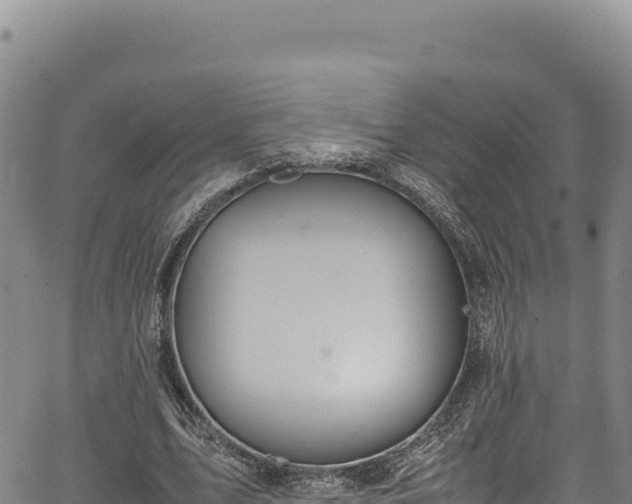 X0000064770583200602131319