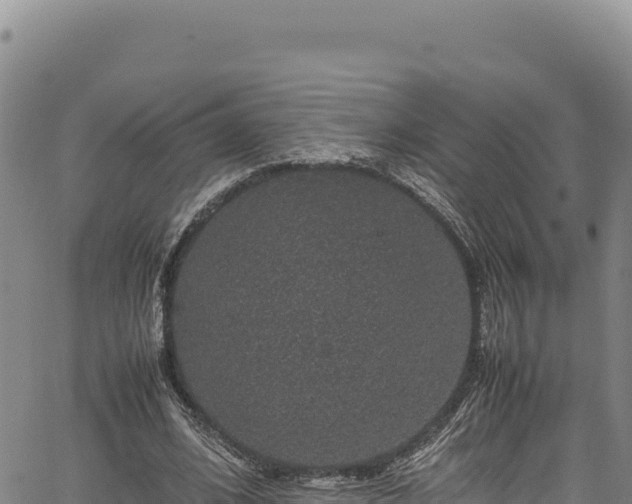 X0000064770584200602131319