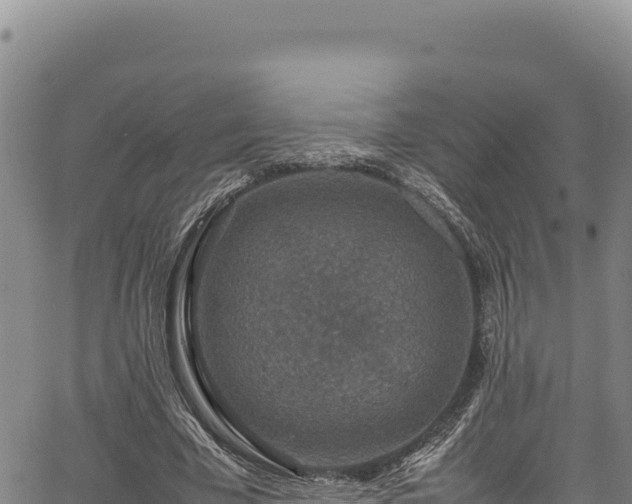 X0000064770585200602131318