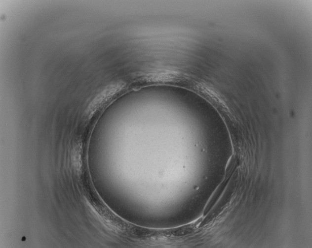 X0000064770586200602131318