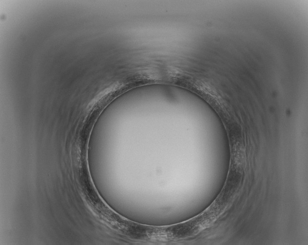 X0000064770587200602131318