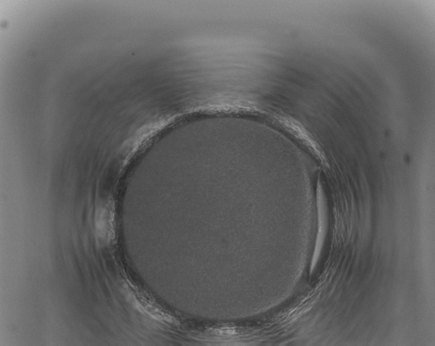 X0000064770588200602131318