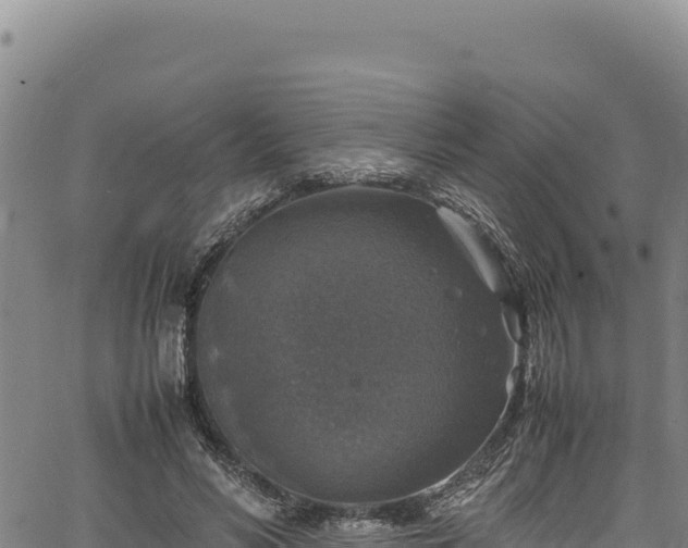 X0000064770590200602131318