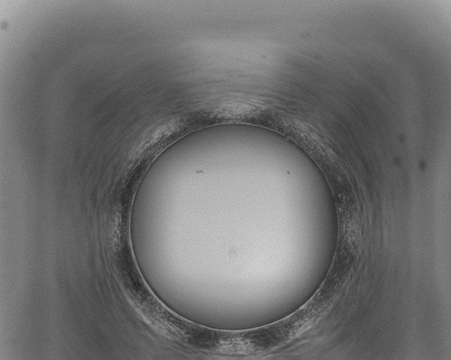 X0000064770591200602131318