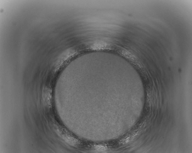 X0000064770592200602131318