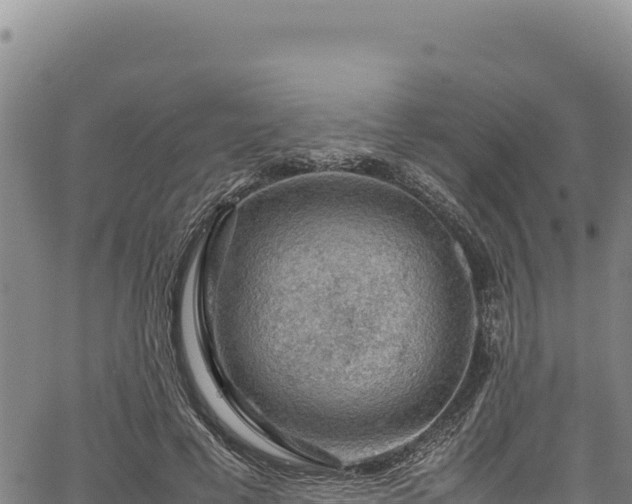 X0000064770593200602131318