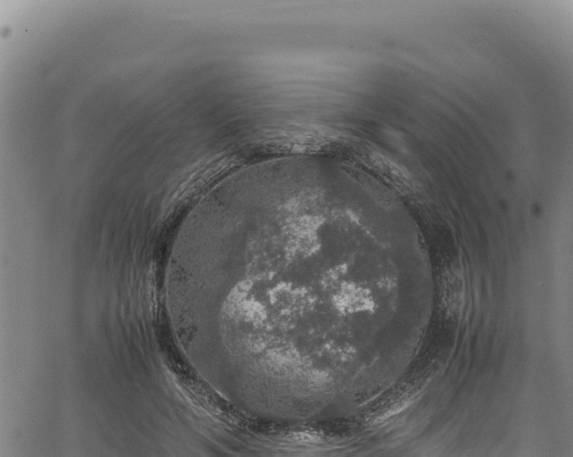 X0000064770594200602131318